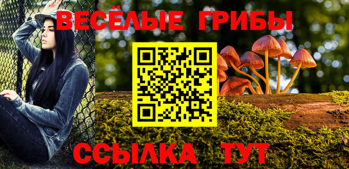 Коркино  Галлюциногенные грибы прущие грибы  Вход с VPN  Галлюциногенные грибы мухоморы 